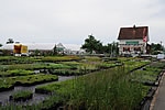zu Gartenbau & Service zu Gartenbau & Service