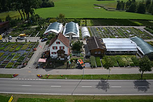 Pflanzen - Center Ueli Bösch AG